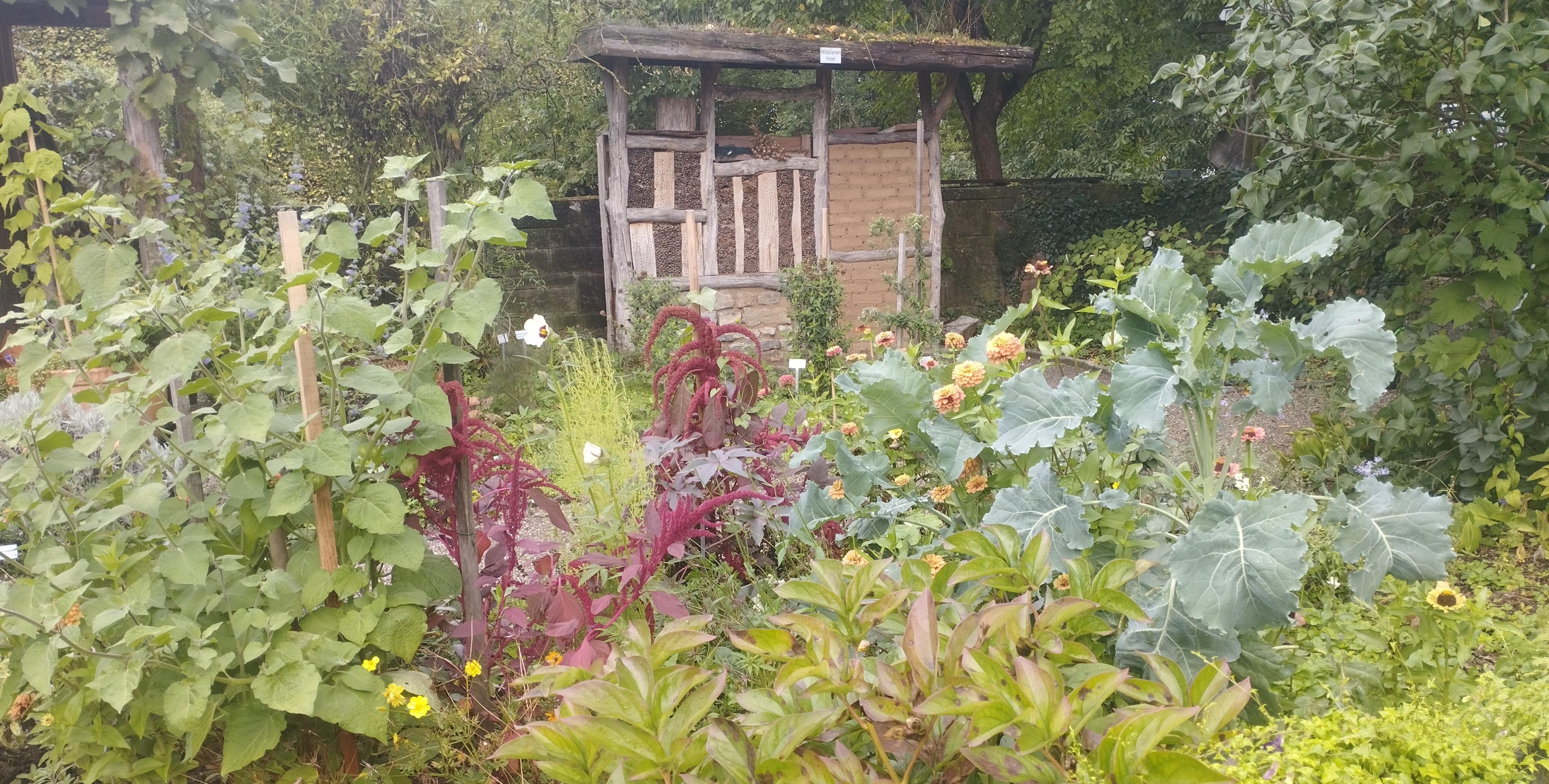 Növényvédelmi teendők – 2022. szept. 30. – okt. 6