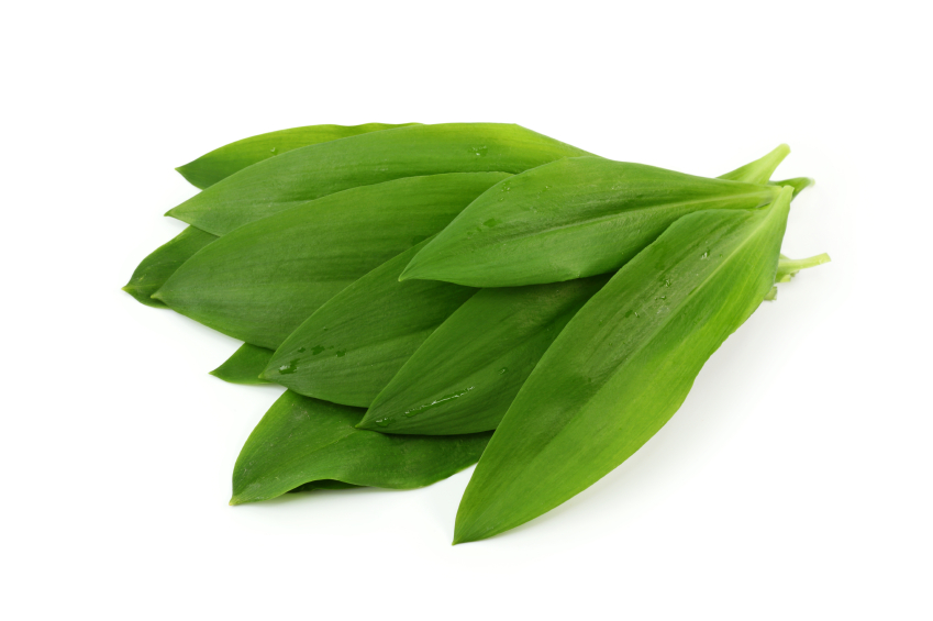 Avar nélkül nincs medvehagyma