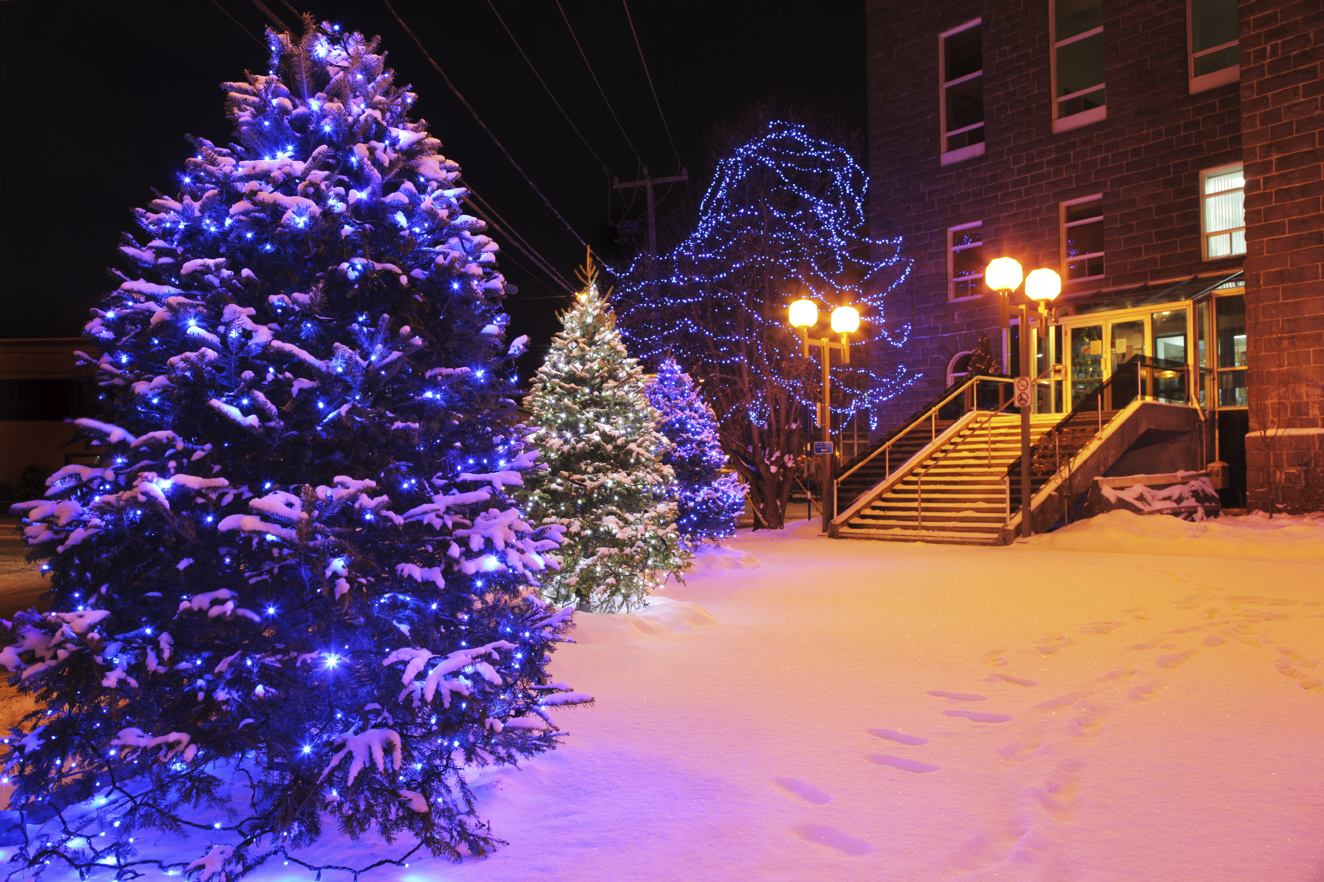Most lehet a fenyőlutrin tenni