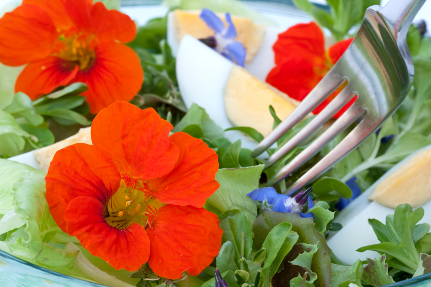 Friss virágok a tányéron