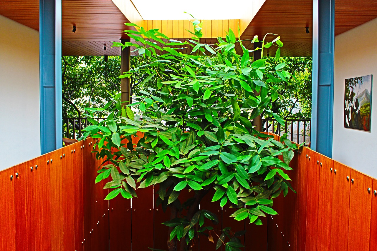 Metszőollóval a szebb növényért