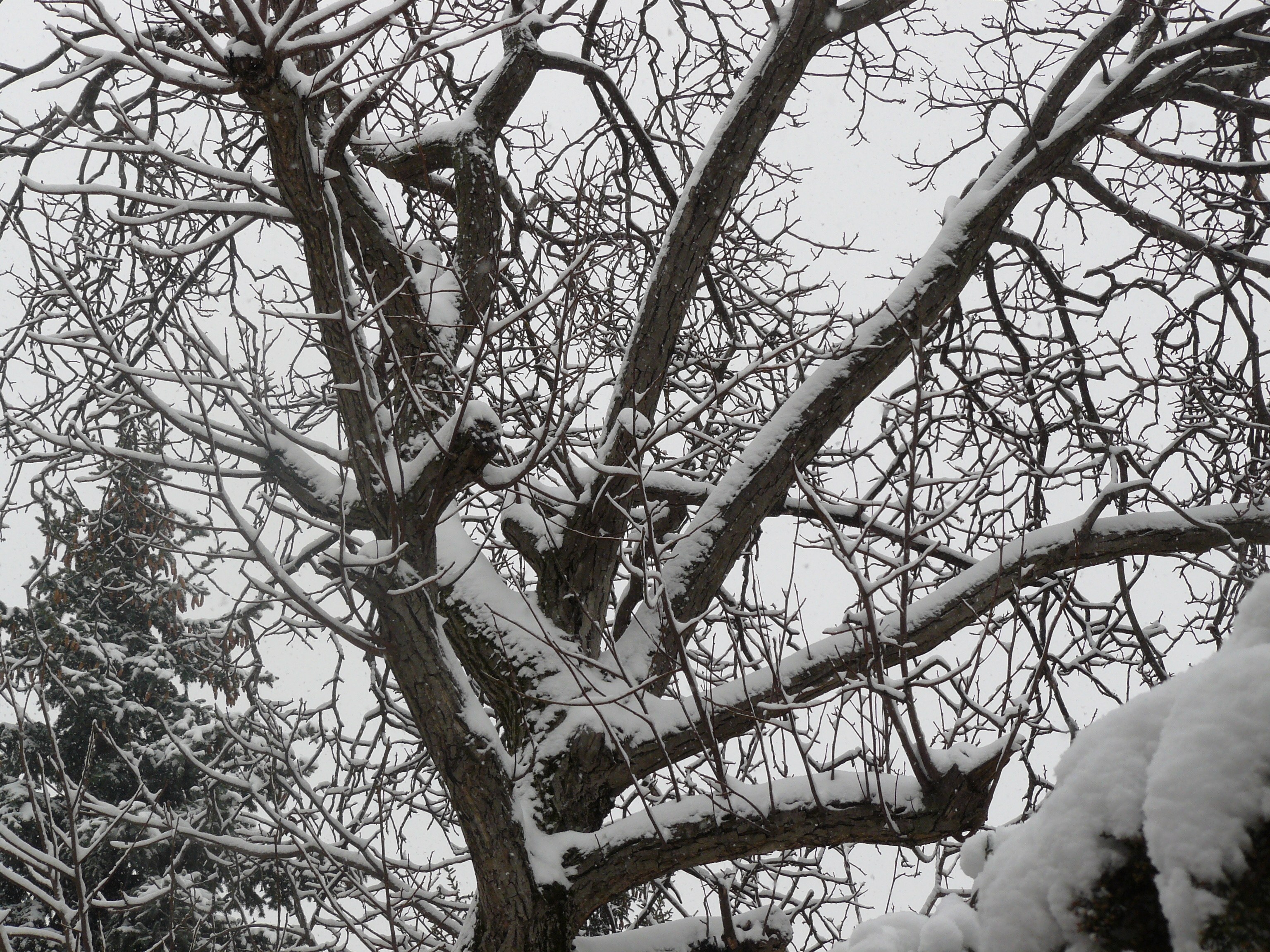 Beköszöntött az igazi tél