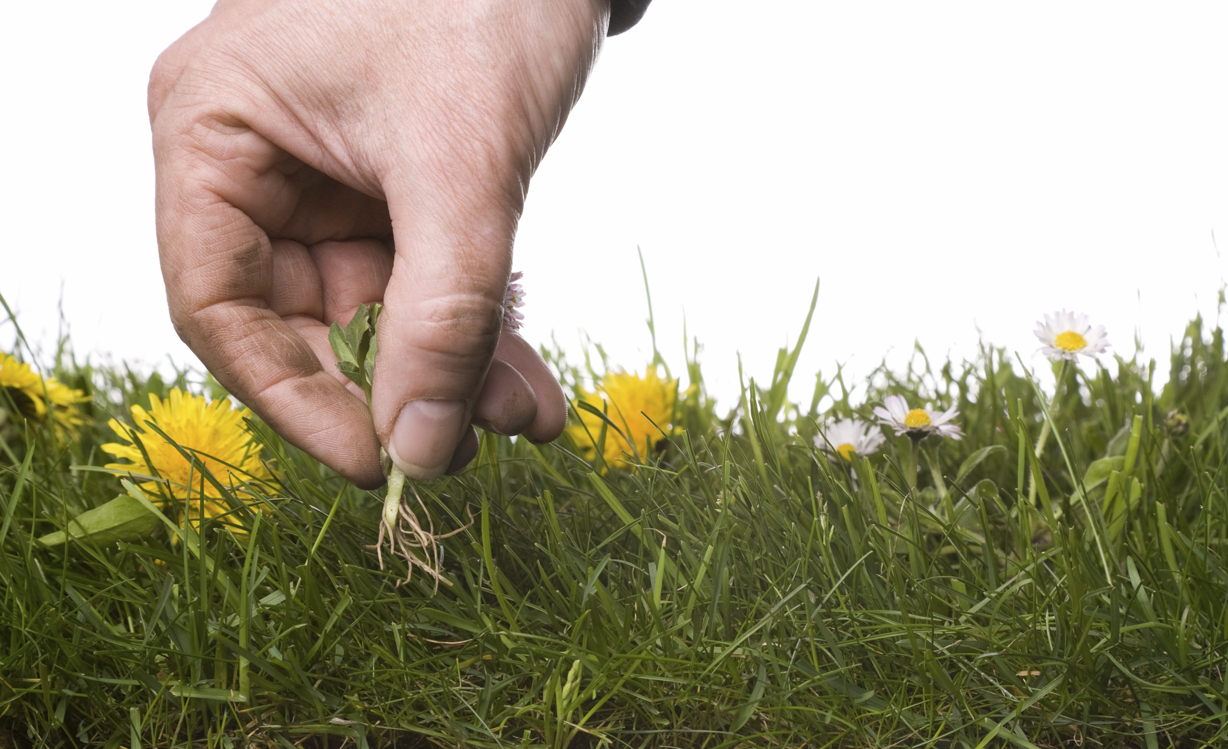 Hosszú ősz, vidám gazélet