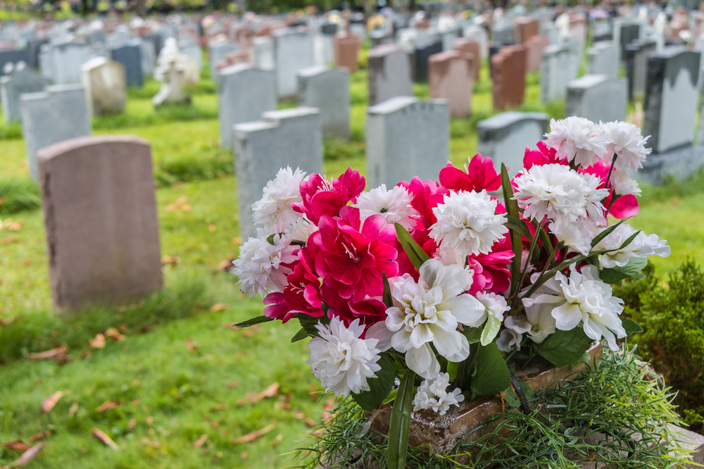 Páratlan varjúhájak