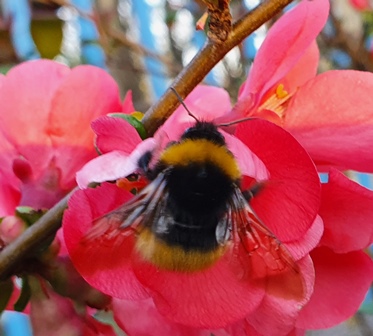 2022. évi 7. növényvédelmi 