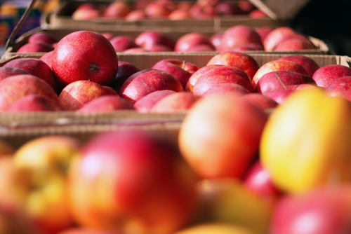 Időzített bombák az almatárolóban
