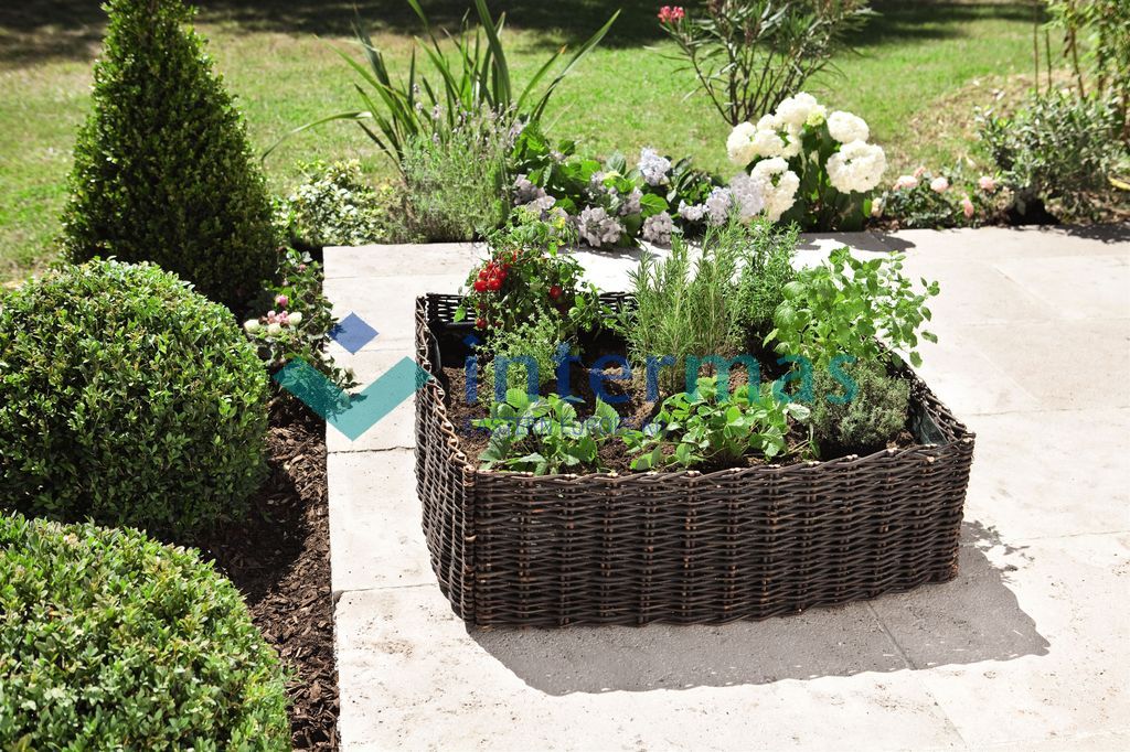 Mi mindenre jó a fűzfakosár?