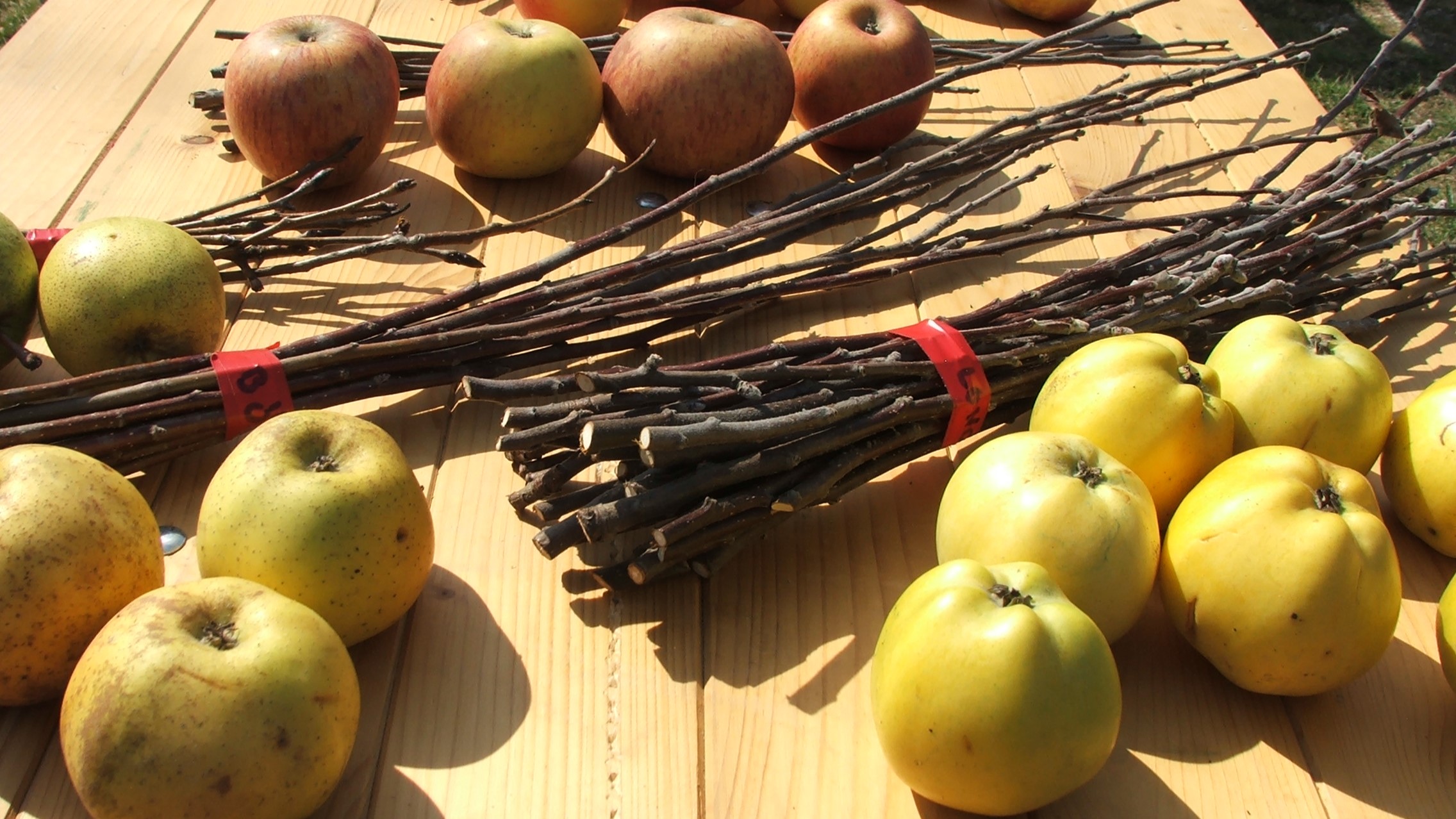 Itt az oltás és a szemzés ideje