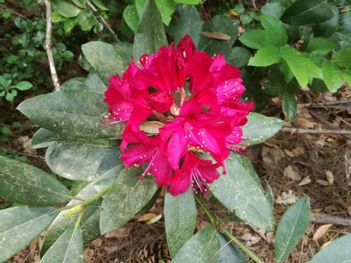 Növényvédelmi teendők – 2018. szeptember 8-14.