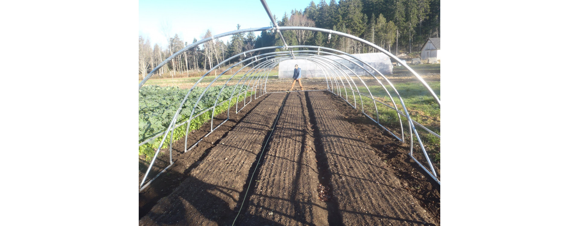 Növényvédelmi teendők – 2020. március 7-13.