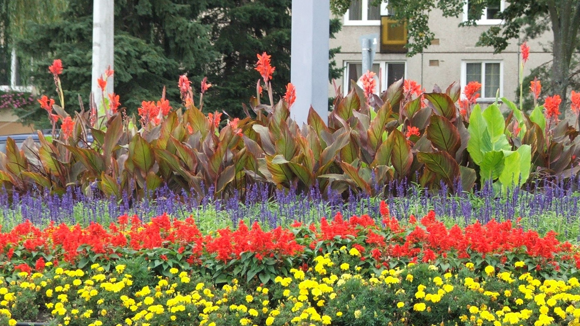 Varázslatos kánnák