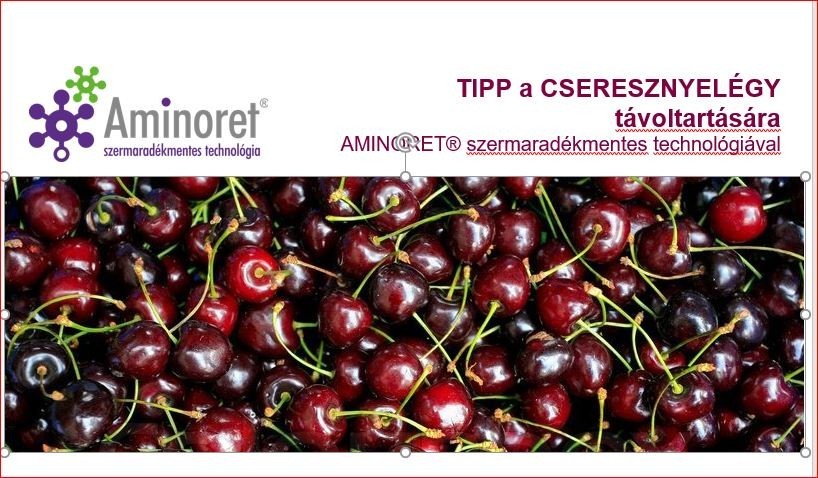 TIPP a cseresznyelégy okozta kártétel megelőzésére