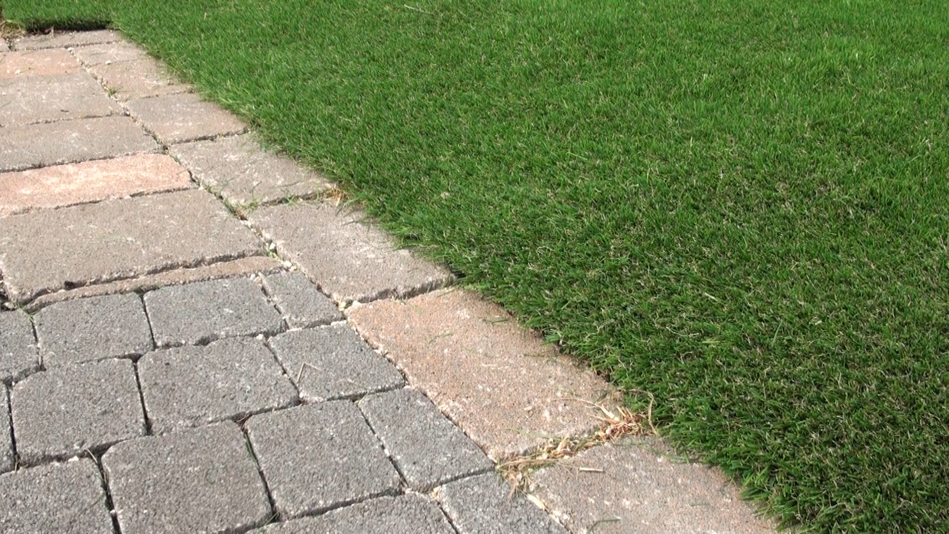 Dekorációs műfű telepítése.