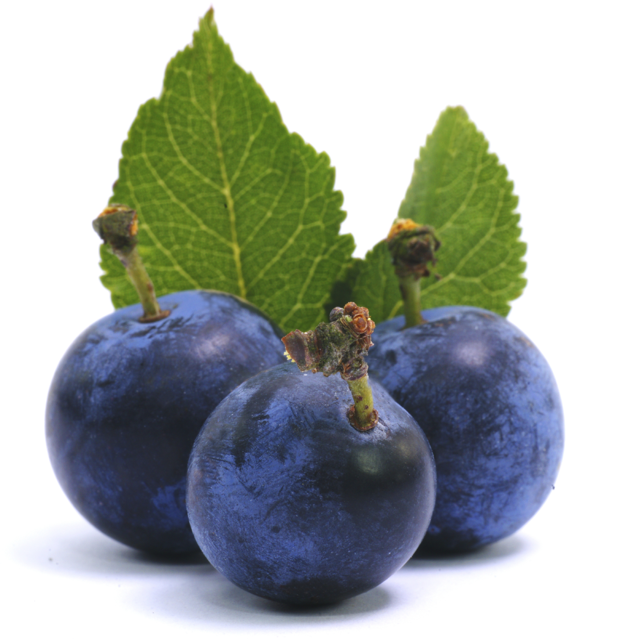 Vadat a gyümölcsöstálba