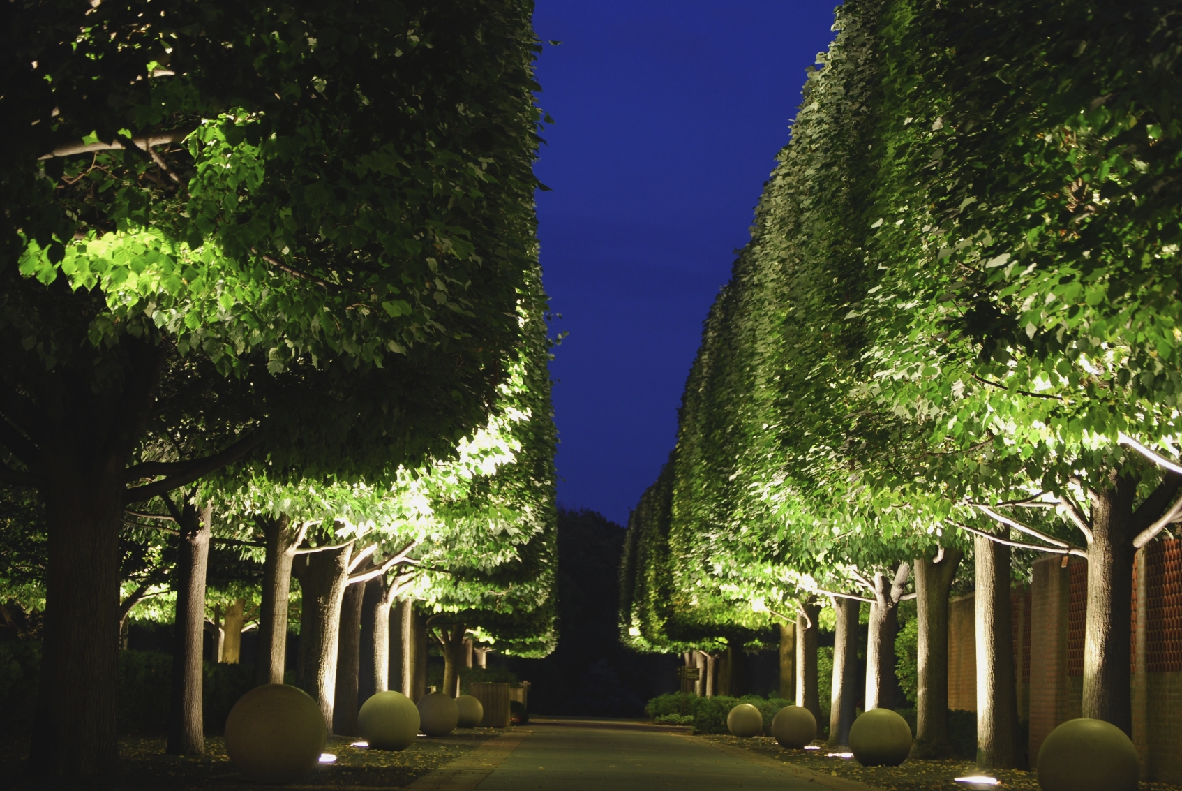 A nagy díszfákat ésszel kell metszeni