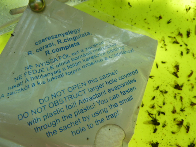 Zsigó György – Hasznos közlendők kertbarátoknak – 2018/7