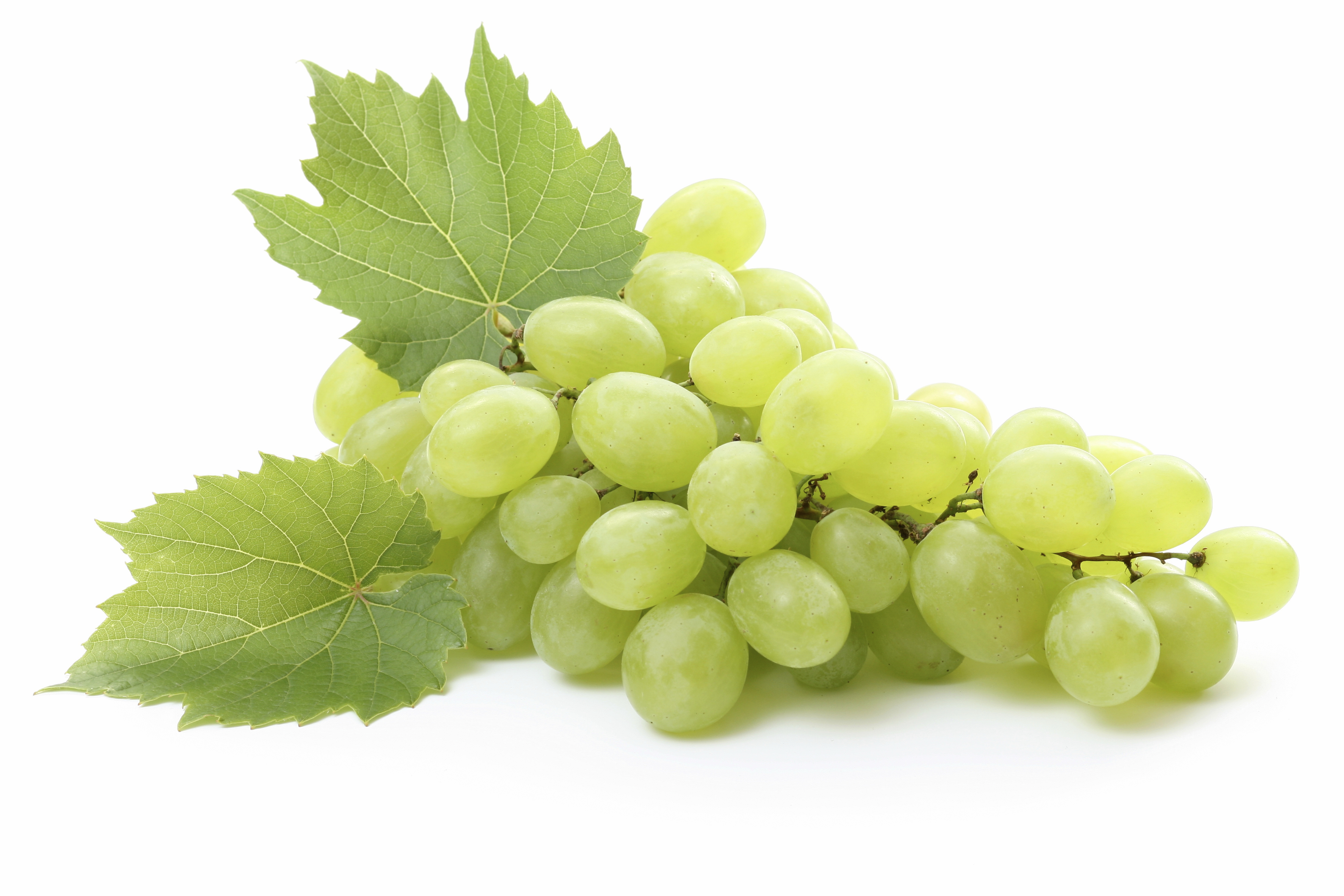 Graffiti 800 WG gombaölő permetezőszer néven is