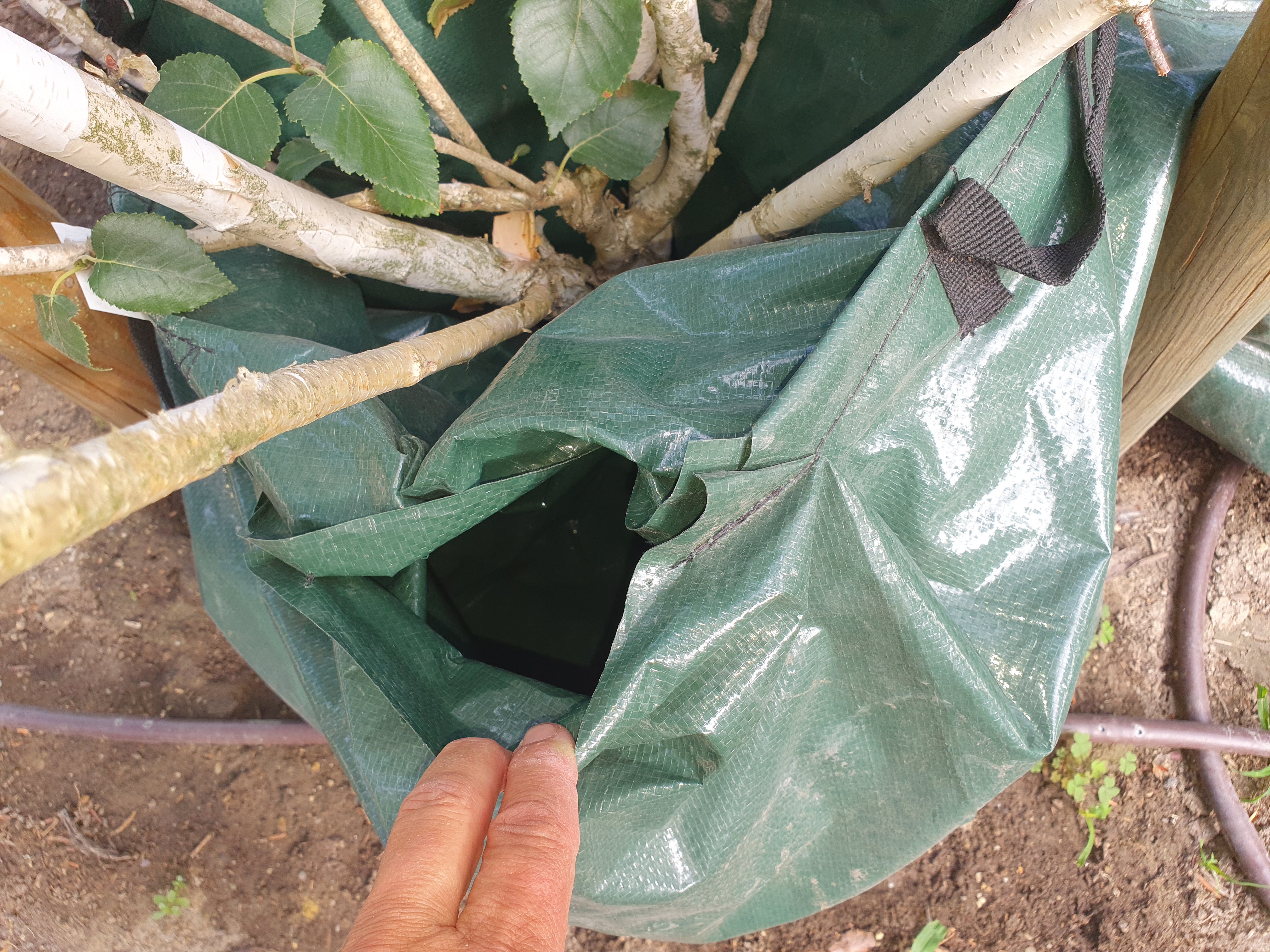 2022. évi 16. növényvédelmi felhívás – Zsigó György