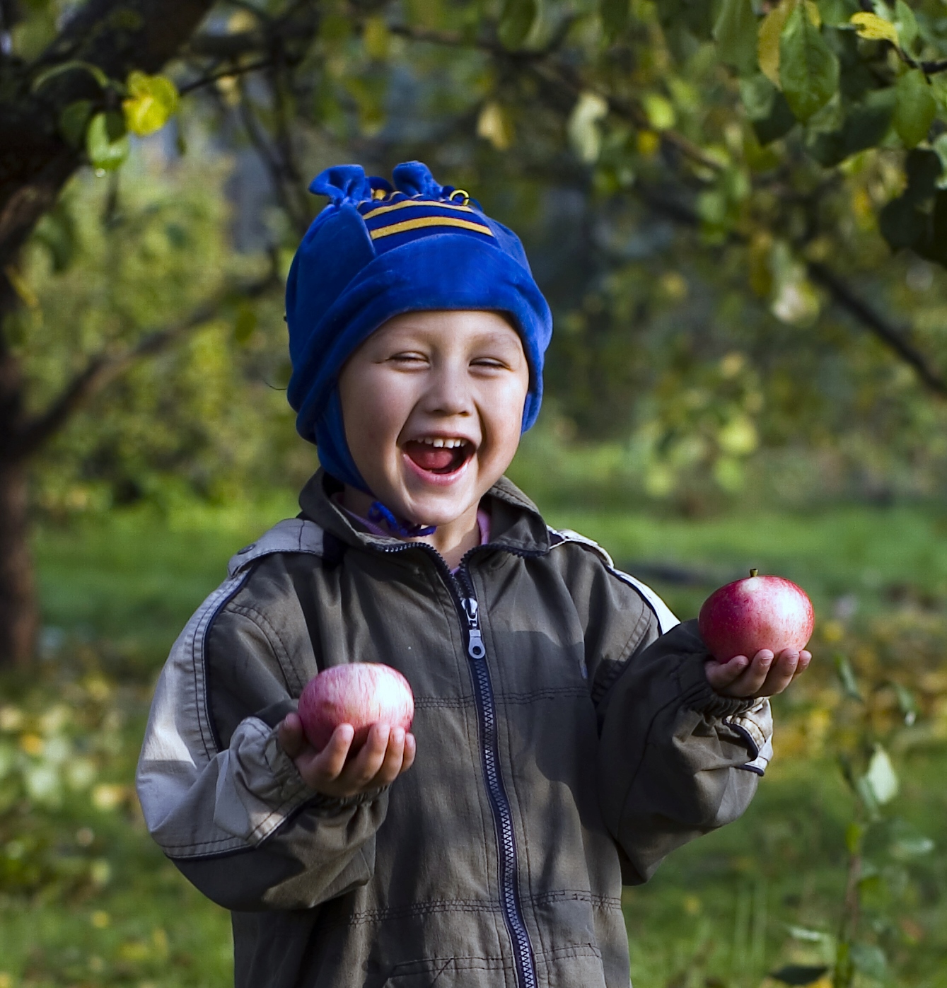 A gyümölcsfák finomhangolása