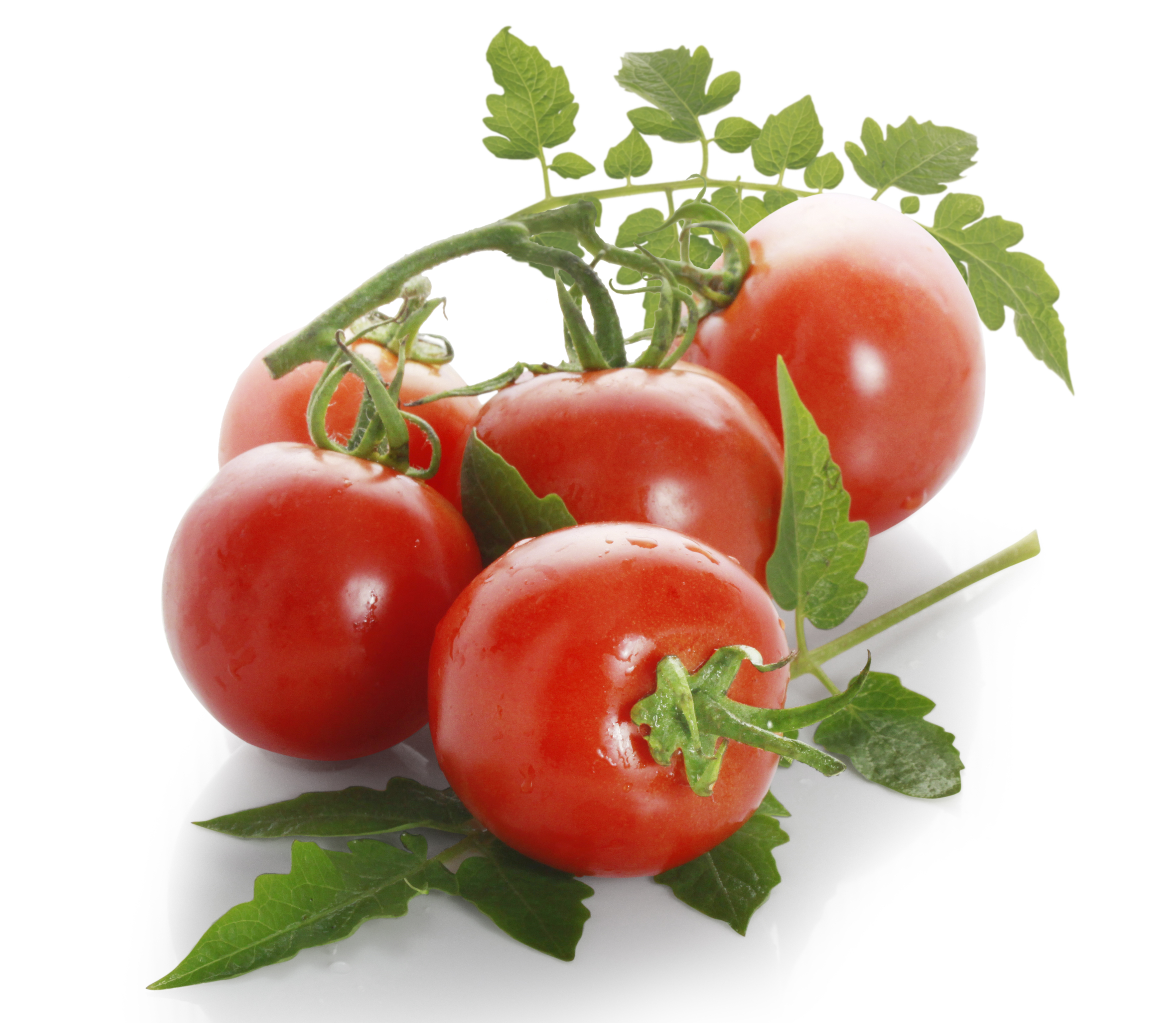 Copper Field gombaölő permetezőszer néven is