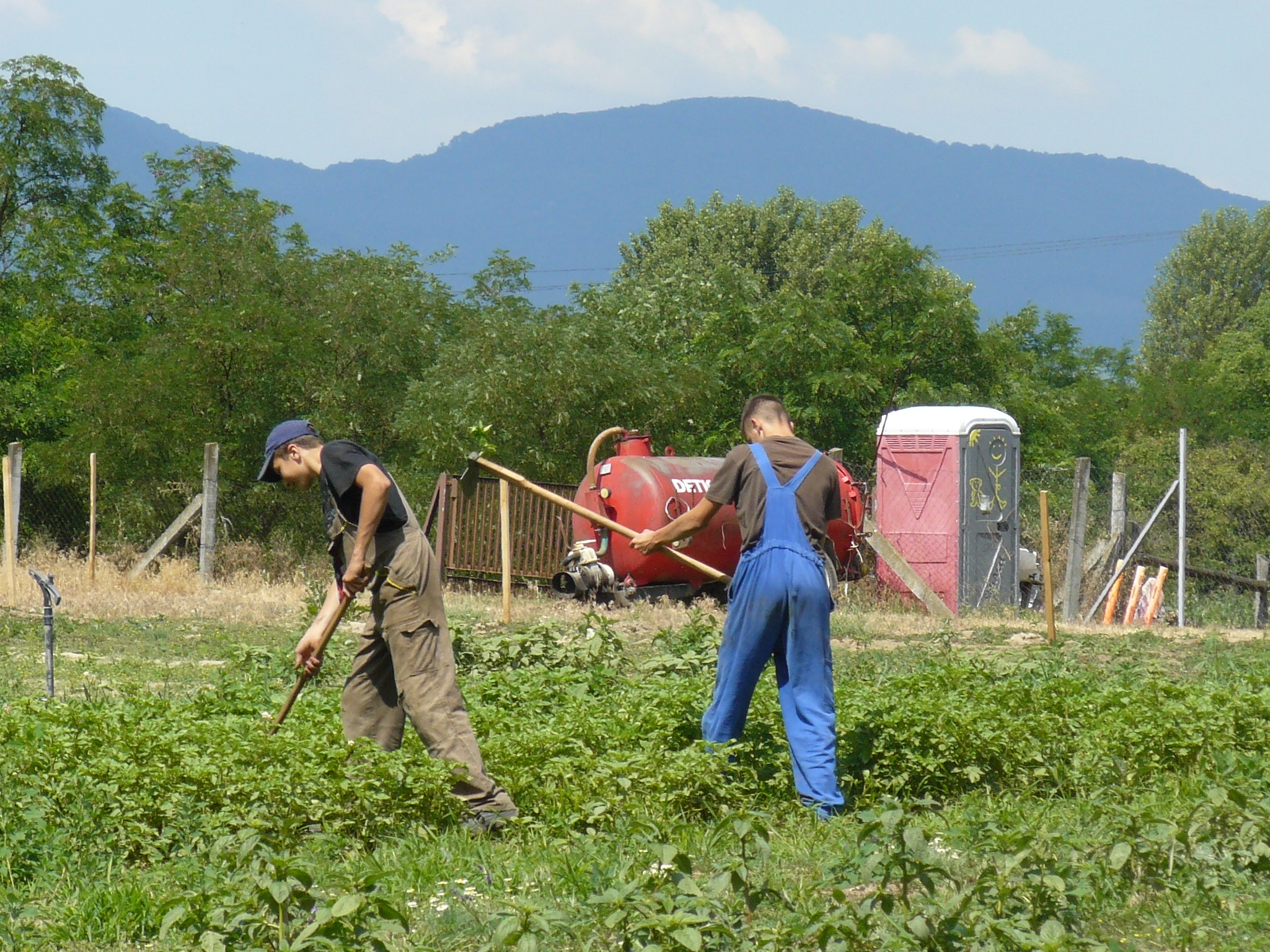 Agrotechnikai és mechanikai védekezés