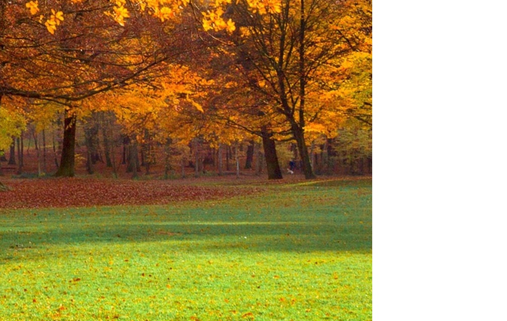 Őszi munkák a kertben