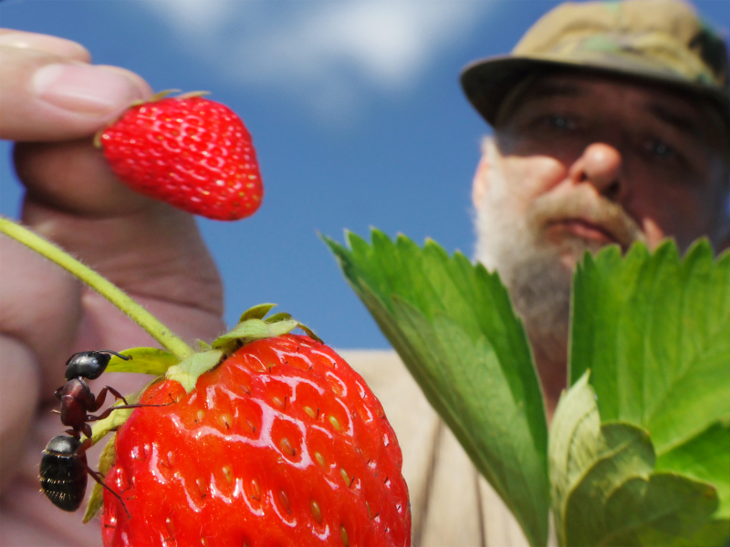 Csúsznak, másznak, bosszantanak