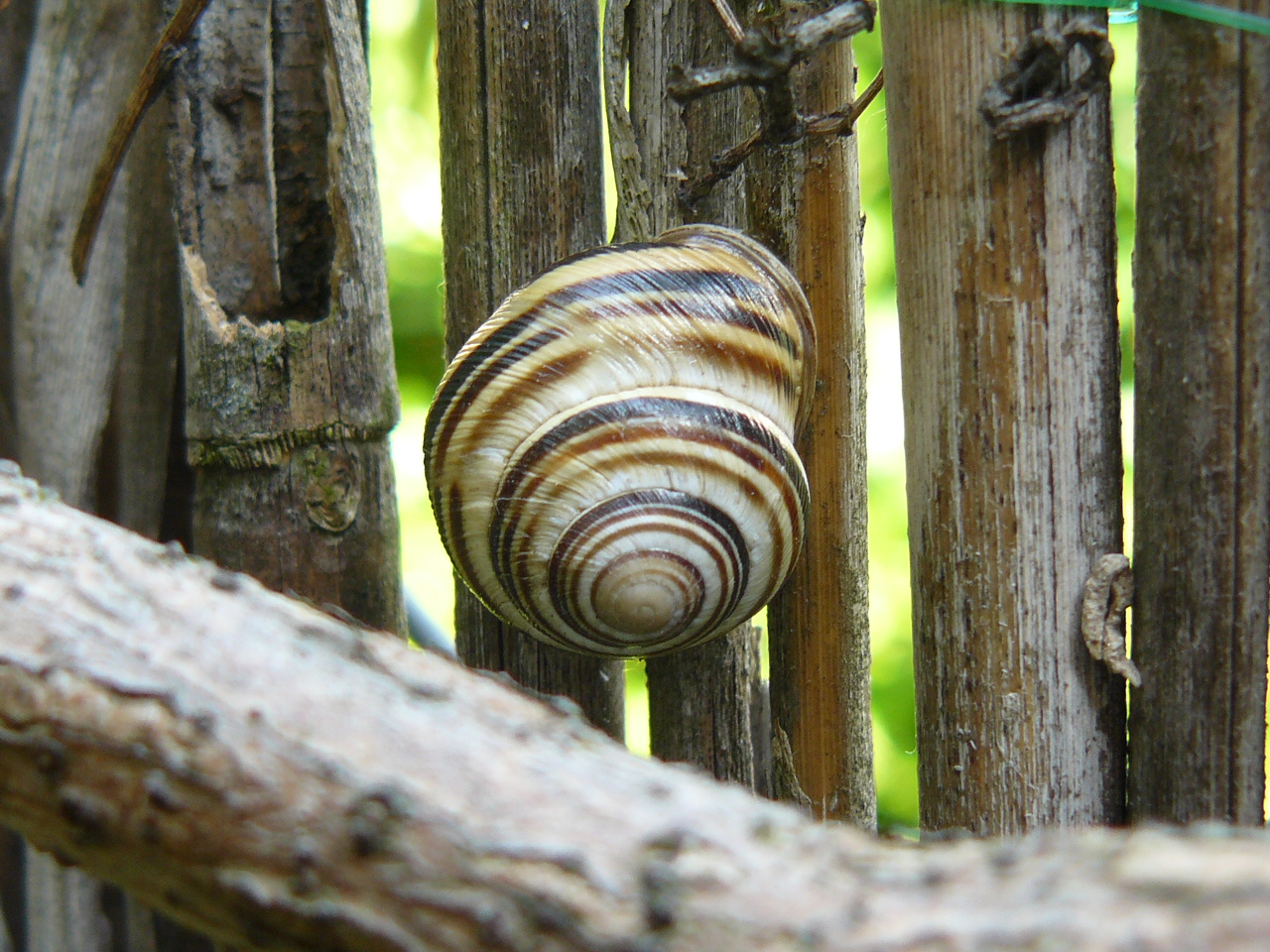Változások a növényvédő szerek terén