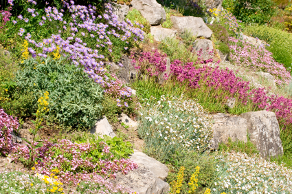 Sziklakert türelemmel