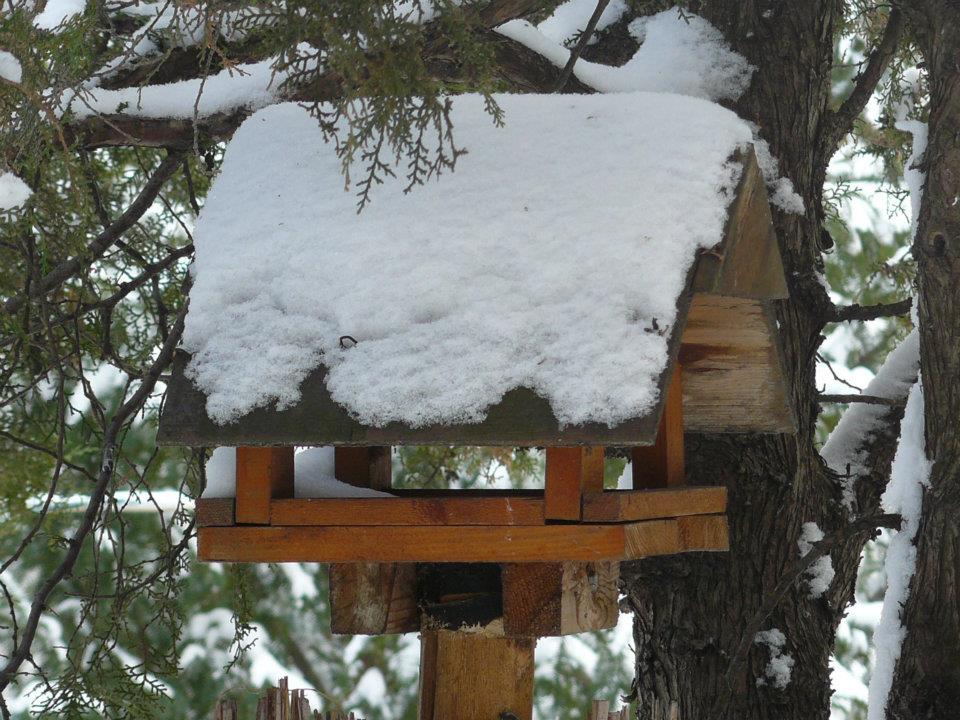 Gondoskodjunk madarainkról