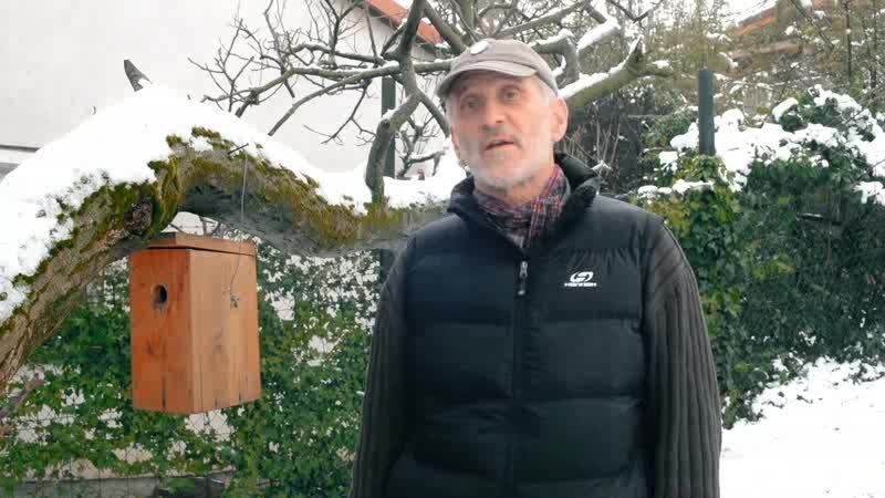 Kerti madaraink téli gondozása