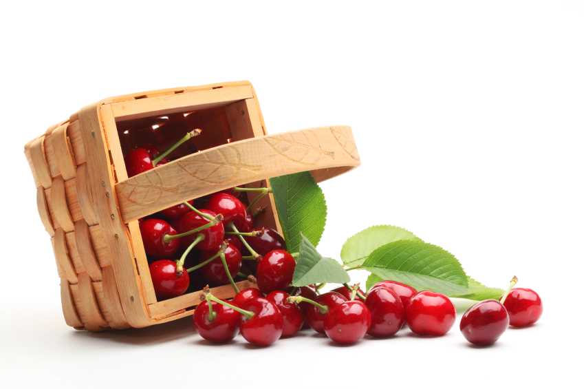 A csonthéjasok metszésekor nem szabad eltérni a menetrendtől