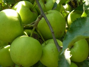 Információ a folyamatos változásokról