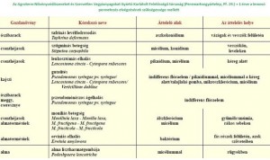 Hasznos közlendők kertbarátoknak