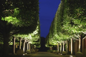 Sok fa jól tűri a metszést