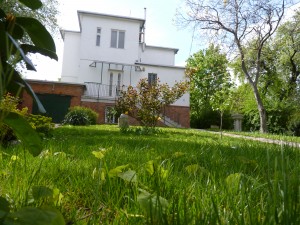 Hiába a drága gyepszőnyeg, a hívatlan vendégek sorra érkeznek