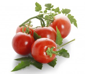 Copper Field gombaölő permetezőszer néven is