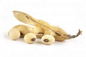 Monsanto Magyarországon