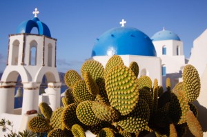 Az eredeti helyükön meg sem kottyan a kaktuszoknak a tűző nap