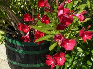 Indul a második menet