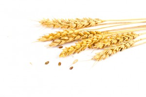 Emerald Star gombaölő permetezőszer néven is