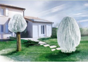 Növényeinkkel együtt készüljünk a télre