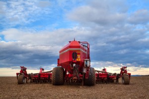 Óvakodjanak a vetőmaggal csalóktól