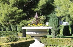 A kertátalakítás szoliterrel