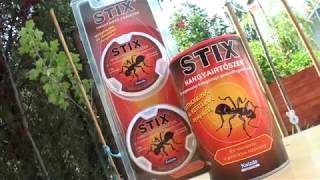 Hogyan tudunk a hangyák ellen védekezni