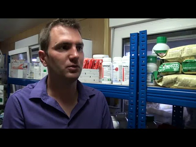 A gyep gyomirtásról általánosságban.