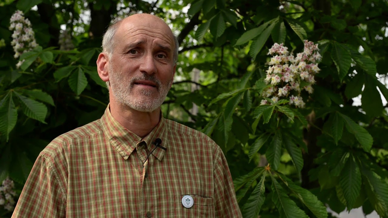 Zsigó György - Vadgesztenye aknázó moly