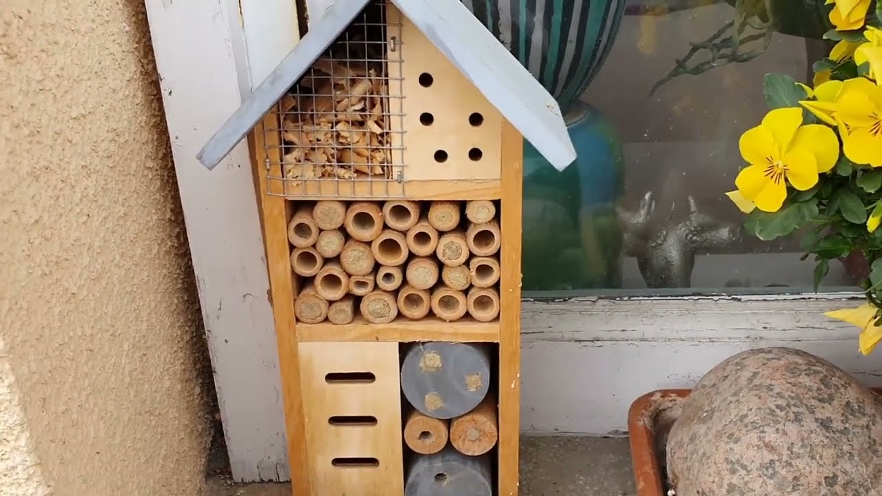 Rendkívül fontos a méhek védelme, figyeljünk rá jobban