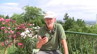 Növényvédőszer.info mobil applikáció használata