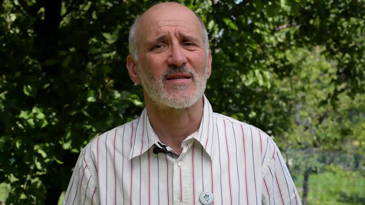 Gyümölcs fertőző monillia